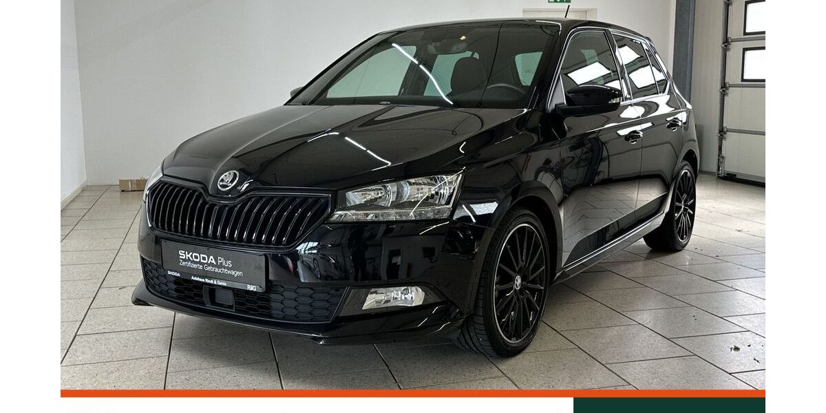 Skoda Fabia 39.115 km 16.699 &euro; Hemmingen/Hannover 30966