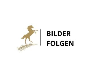 BMW X2 71.660 km 27.600 &euro; Hannover 30457