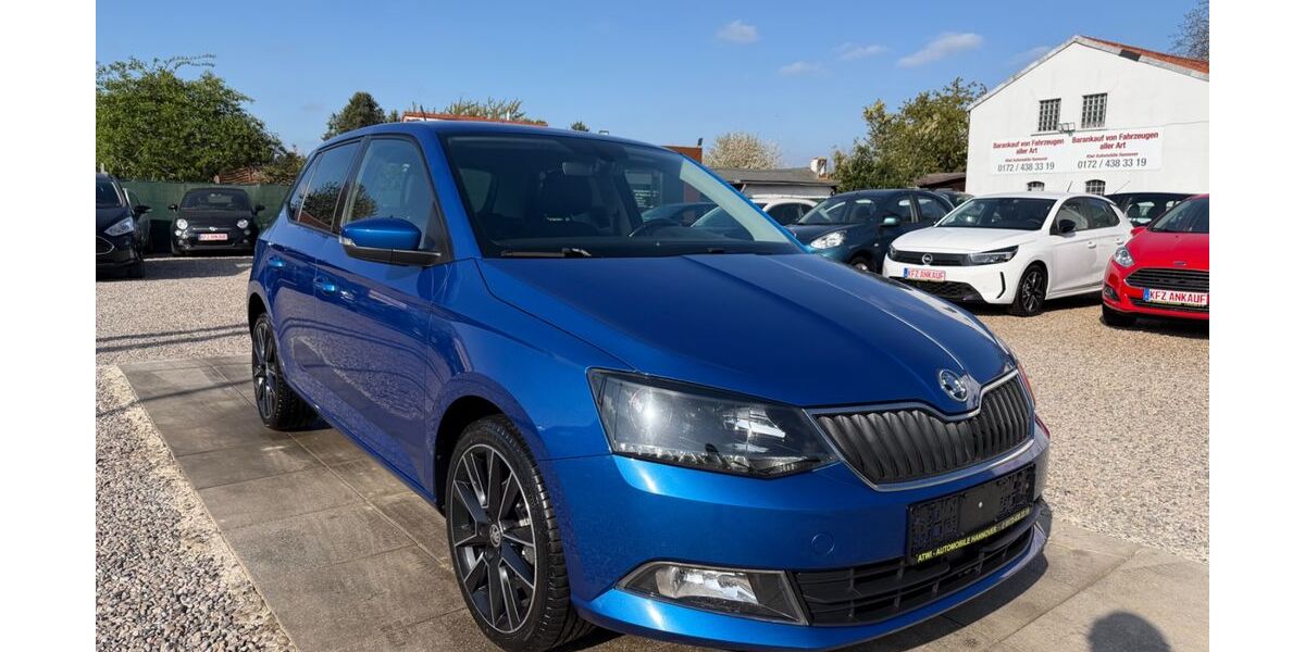 Skoda Fabia 97.000 km 9.499 &euro; Hannover 30163