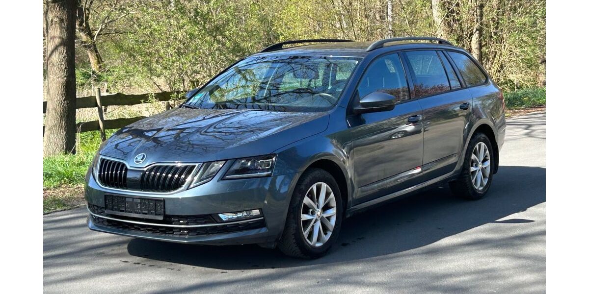 Skoda Octavia 141.000 km 11.290 &euro; Burgdorf (bei Hannover) 31303