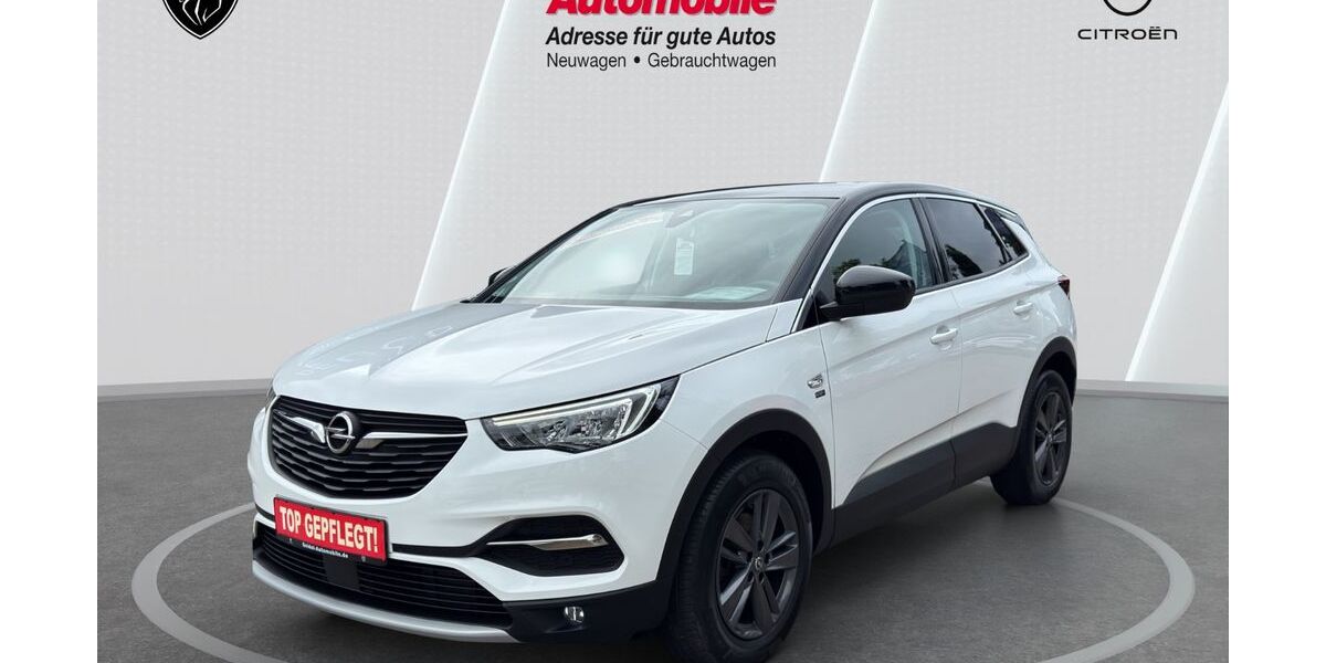 Opel Grandland (X) 75.244 km 18.690 &euro; Wunstorf 31515