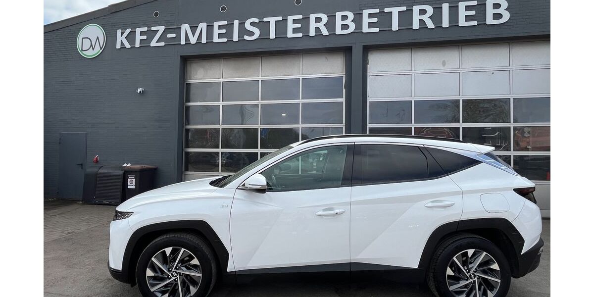 Hyundai TUCSON 136.134 km 18.100 &euro; Springe 31832